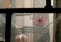 恋人ヒットの女の子でザ尻と持っています性別とともに彼女の エロ 動画 女 用