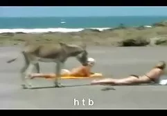 女の子の泡のコックの浴室 女性 向け えっち な 動画